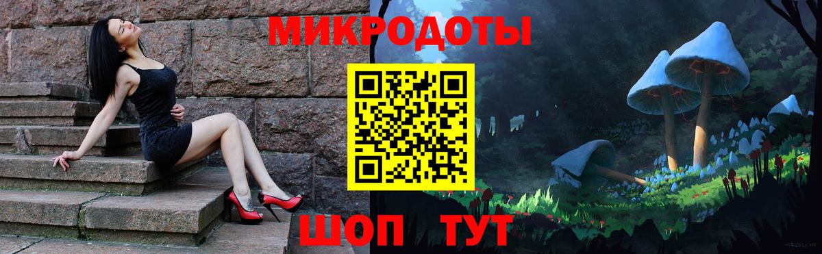 Галлюциногенные грибы Psilocybe  Вход с VPN  Кимры 